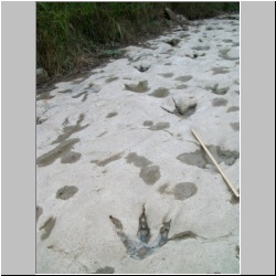 100_0900 (2009-27-07)m.JPG